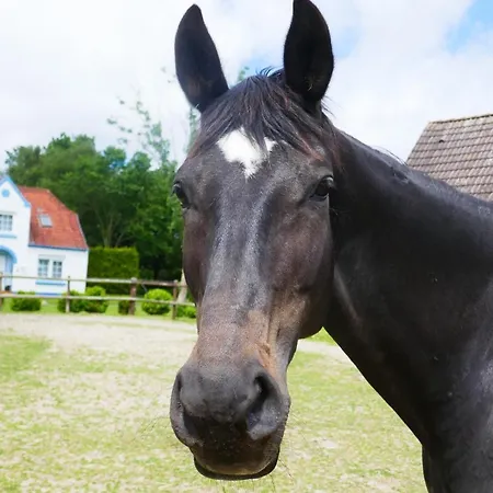 Refugium Im Nordseewind Сasa de vacaciones Norddeich (Dithmarschen)