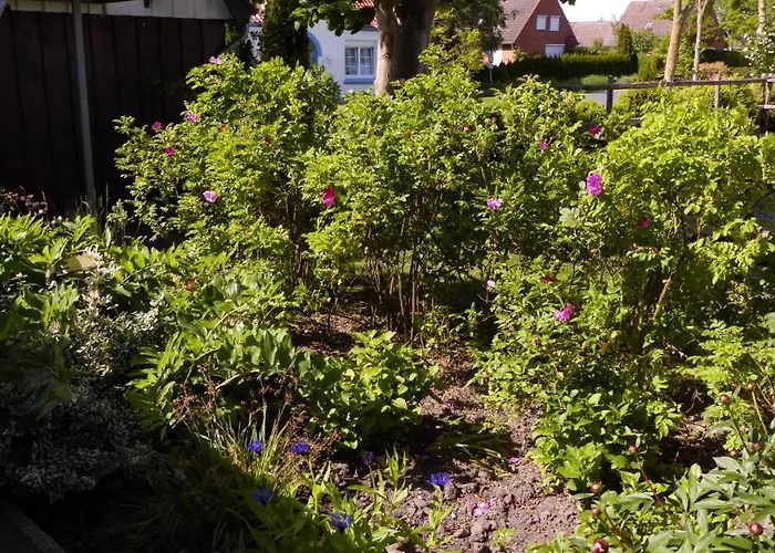 Refugium Im Nordseewind